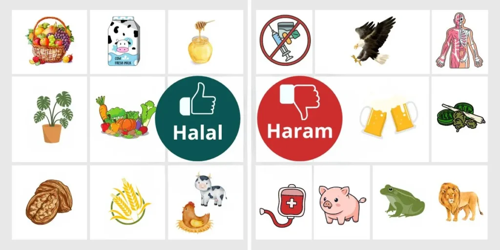 Halal vs Haram de selohalal.com.br