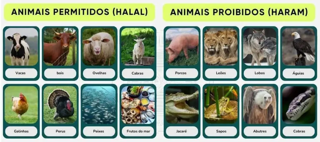 Diferenças: Animais Halal vs Haram - de carne halal