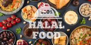comida Halal de selohalal.com.br